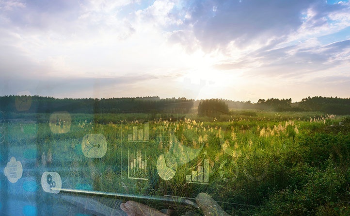 Industry Characteristics